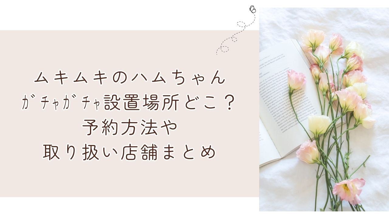 ムキムキのハムちゃんｶﾞﾁｬｶﾞﾁｬ設置場所どこ？予約方法や取り扱い店舗まとめ