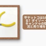 平ヤットコは100均で買える？ダイソー・セリア・キャンドゥの取り扱い状況と売り場を徹底比較
